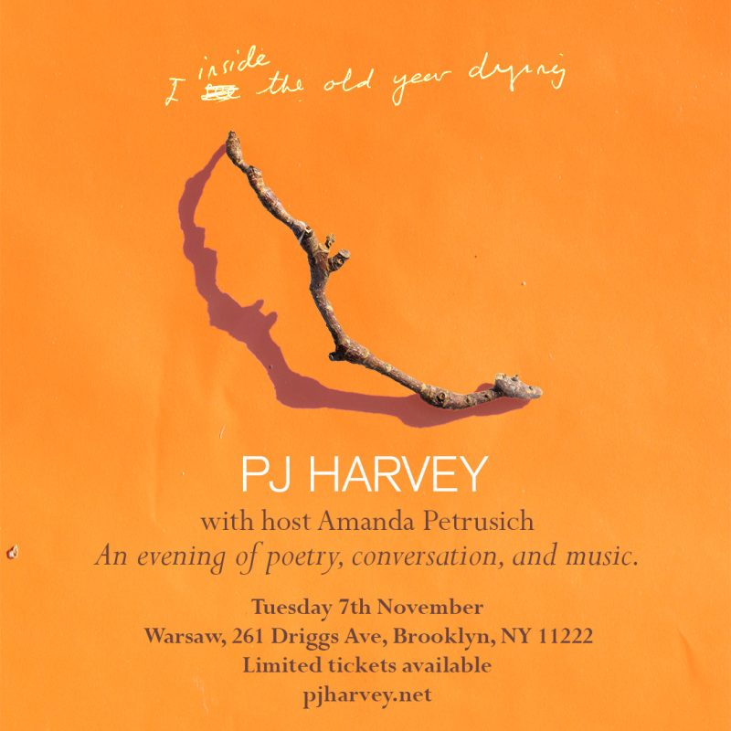 PJ Harvey announces a rare live appearance in NYC