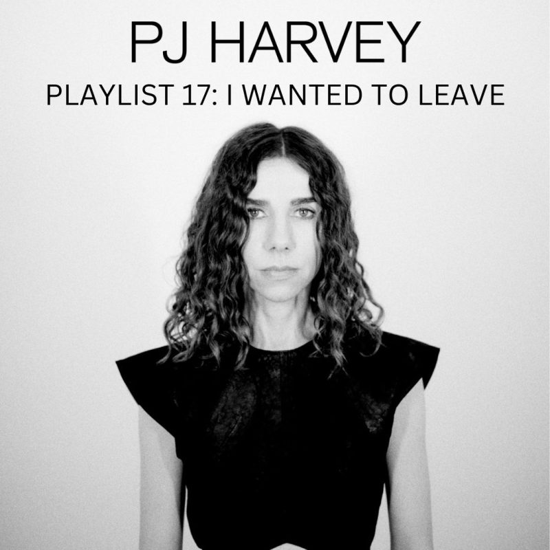 17 – I Wanted To Leave cover artwork
